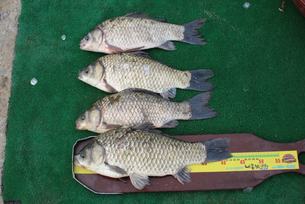 ũ�⺯ȯ_IMG_9364.JPG