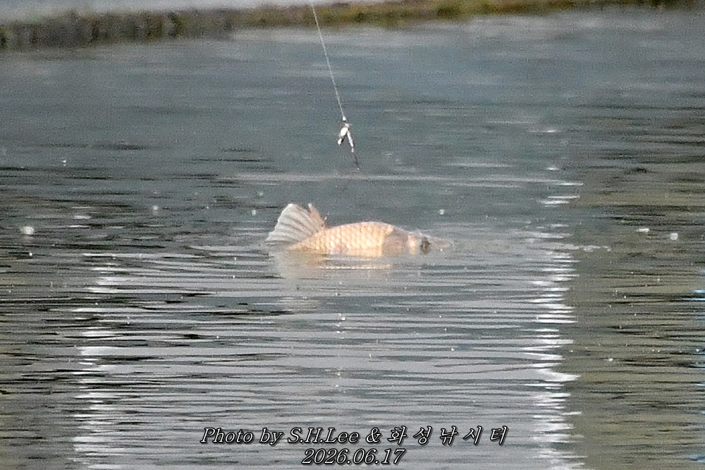 DSC_1249.JPG