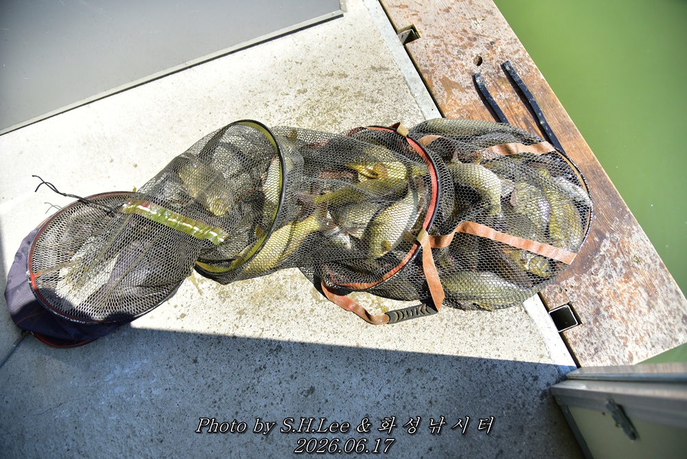 LEE_5288.JPG
