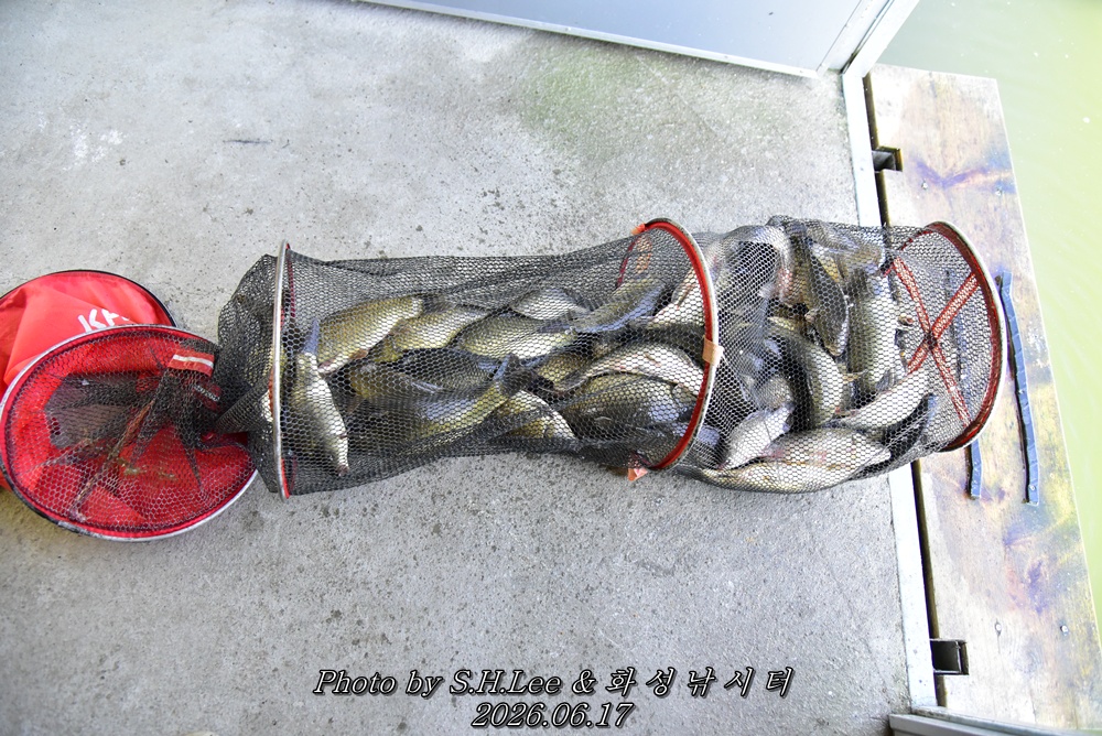 LEE_5306.JPG