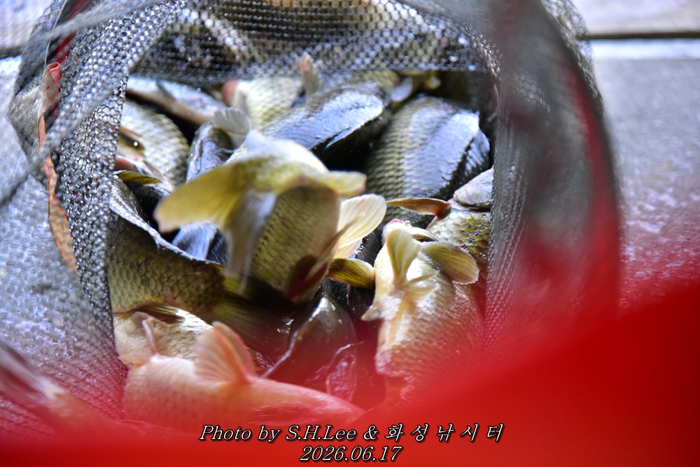 LEE_5308.JPG