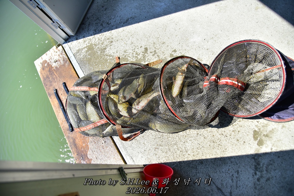 LEE_5294.JPG