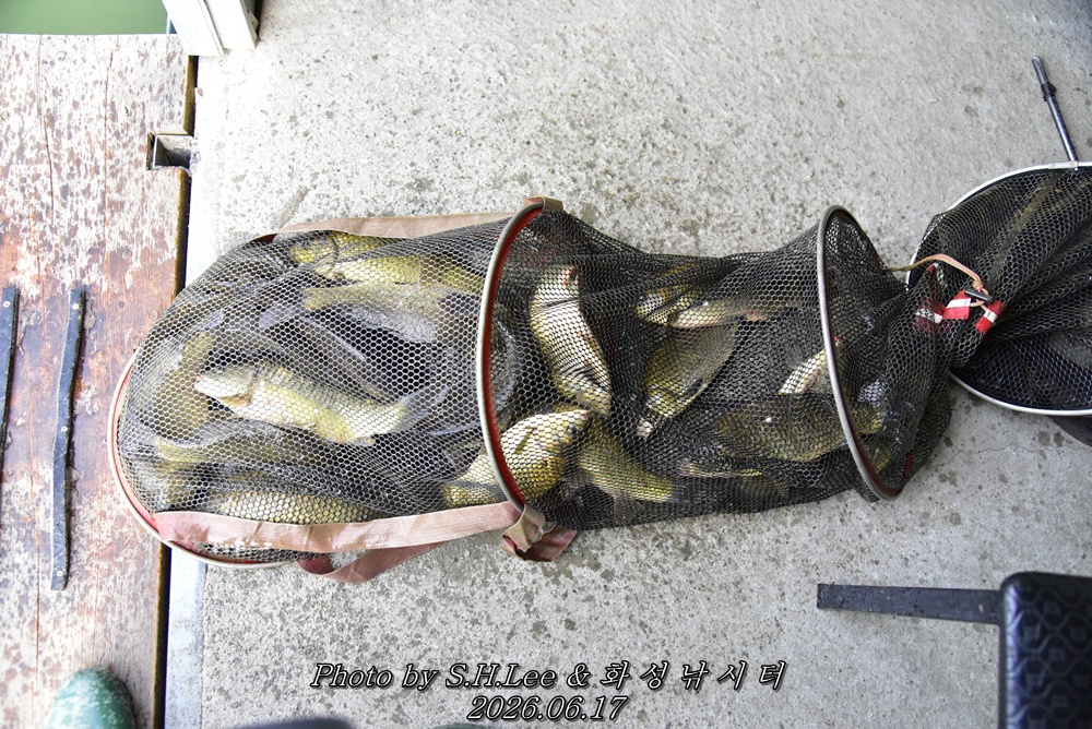 LEE_5340.JPG