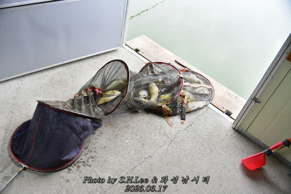 LEE_5359.JPG