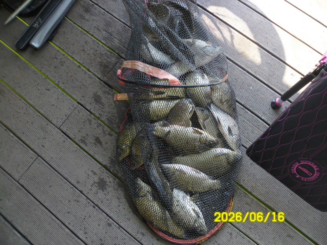 SAM_0554.JPG