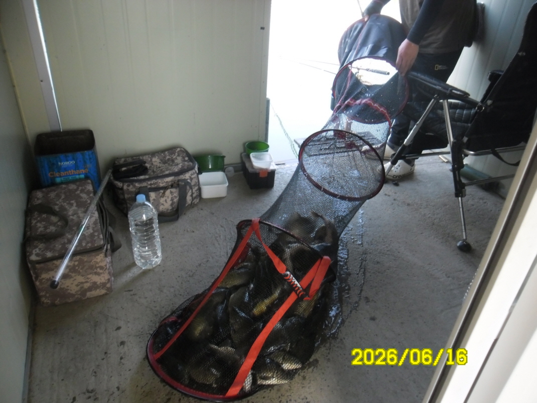 SAM_0555.JPG