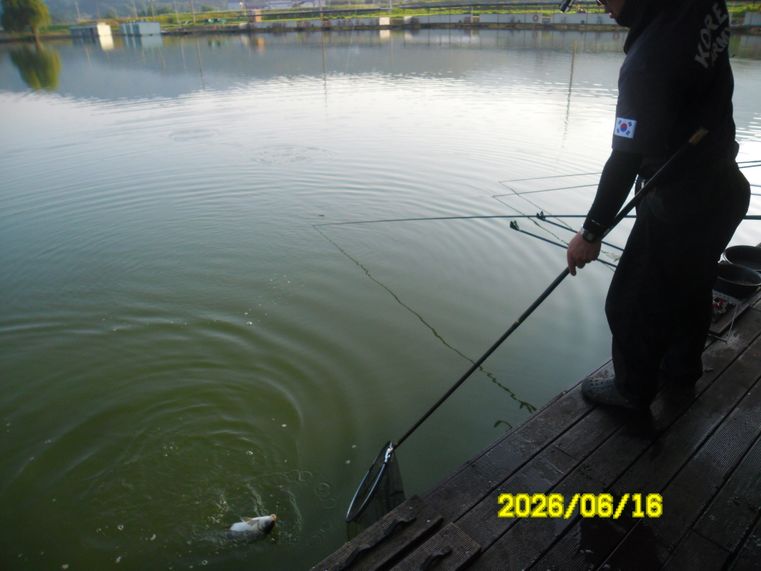 SAM_0566.JPG