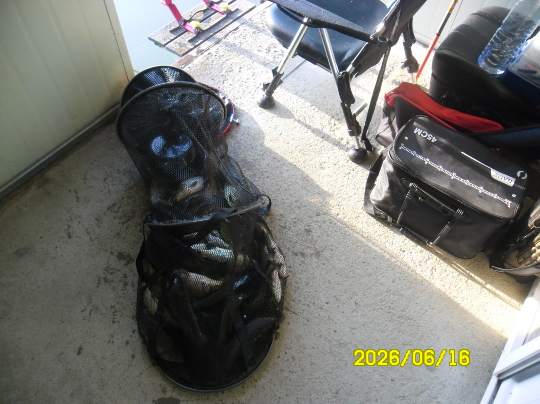 SAM_0567.JPG