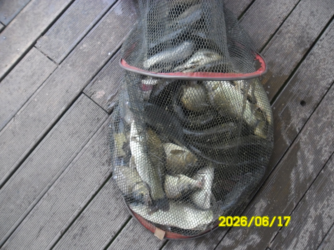SAM_0580.JPG