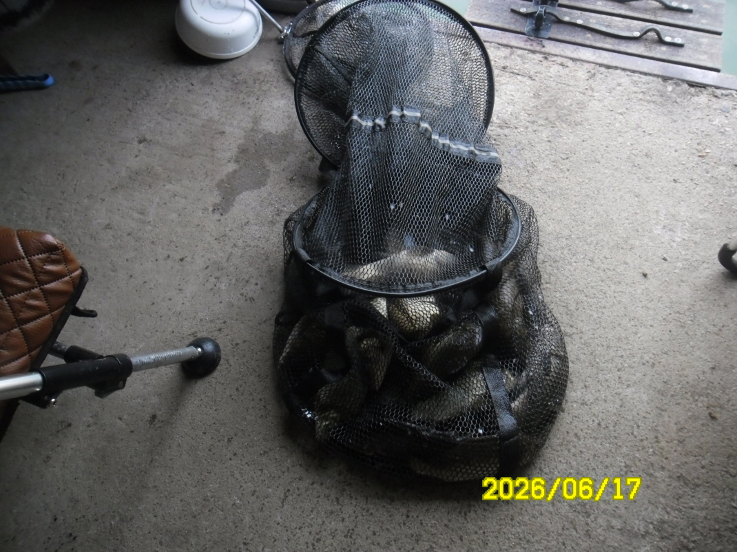 SAM_0584.JPG