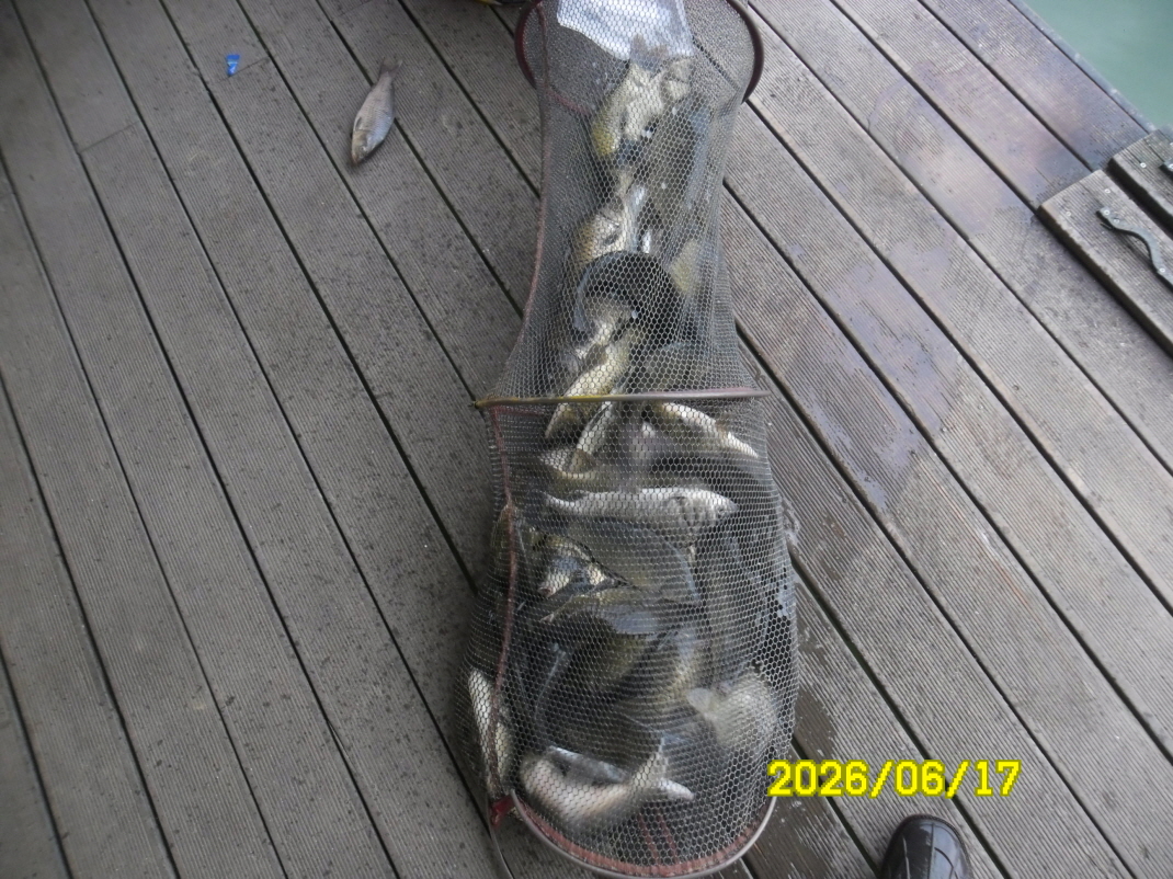 SAM_0583.JPG
