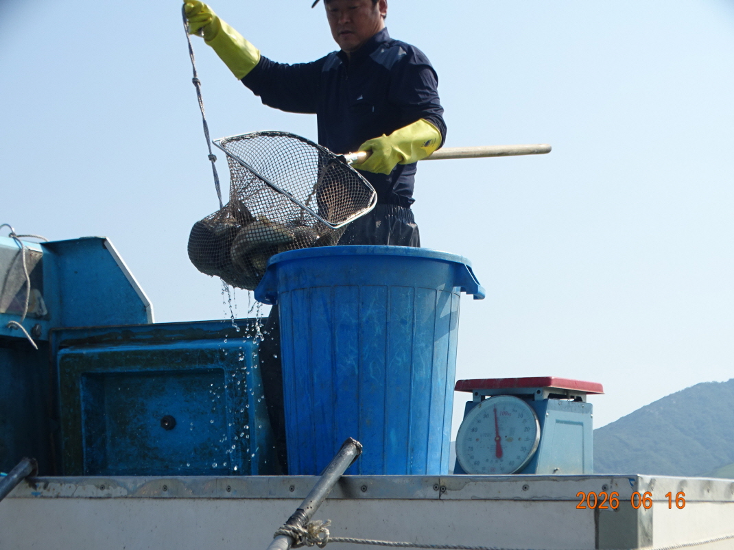 DSC04964.JPG