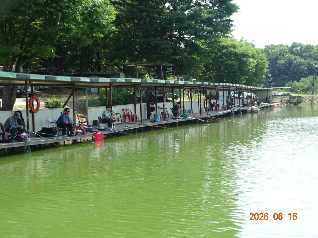 DSC05001.JPG