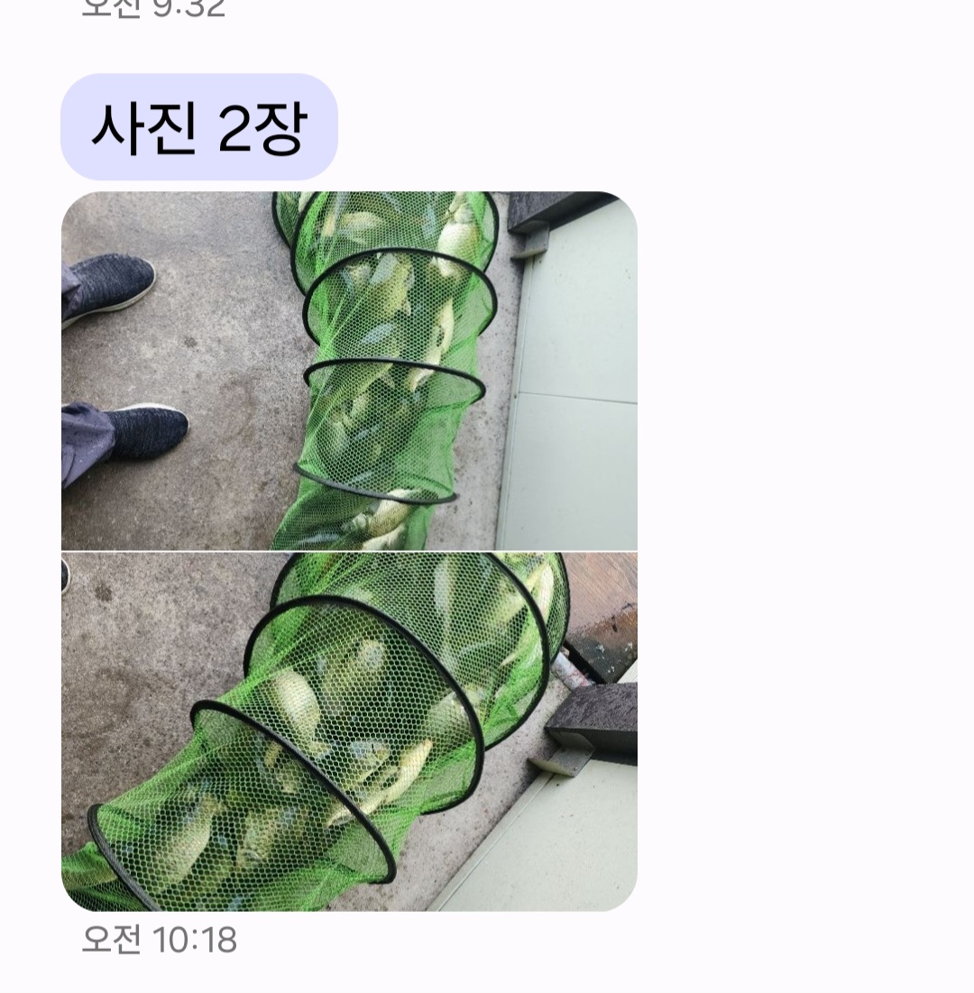 Screenshot_20260619_125121_Messages.jpg