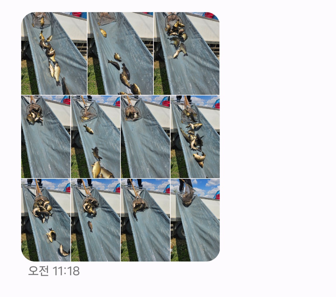 Screenshot_20260619_125134_Messages.jpg