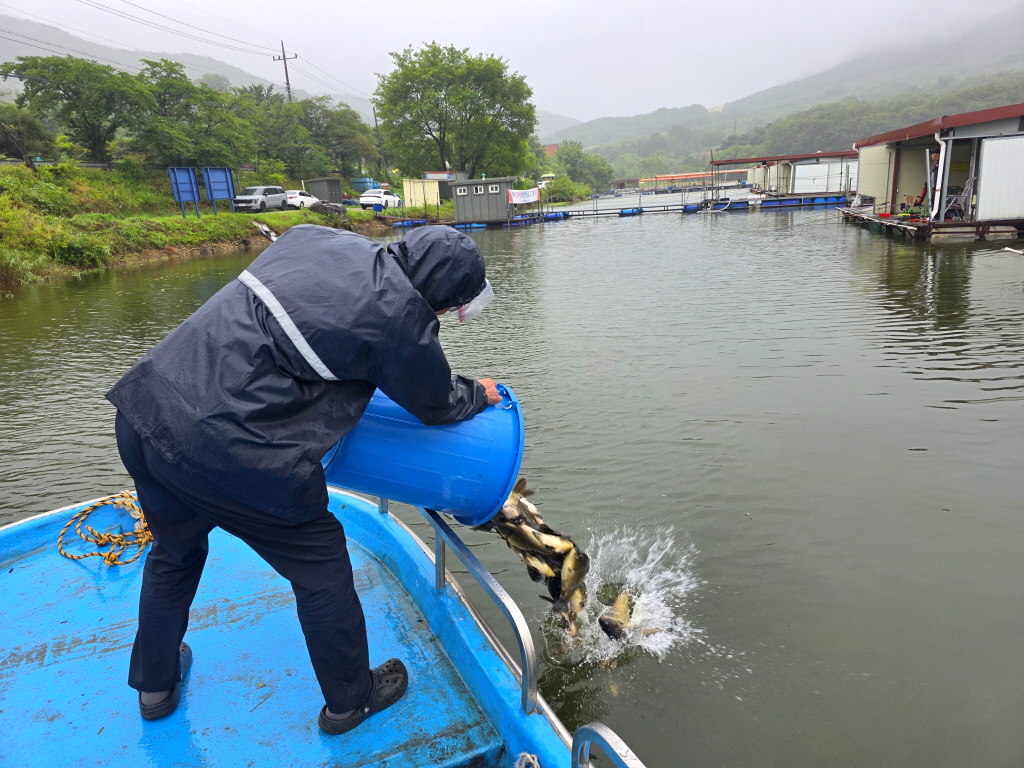 KakaoTalk_20260620_084311972_02[edit].jpg