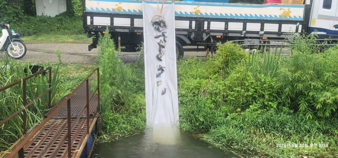 KakaoTalk_20260621_110459491_21.jpg