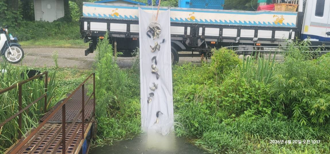 KakaoTalk_20260621_110459491_28.jpg