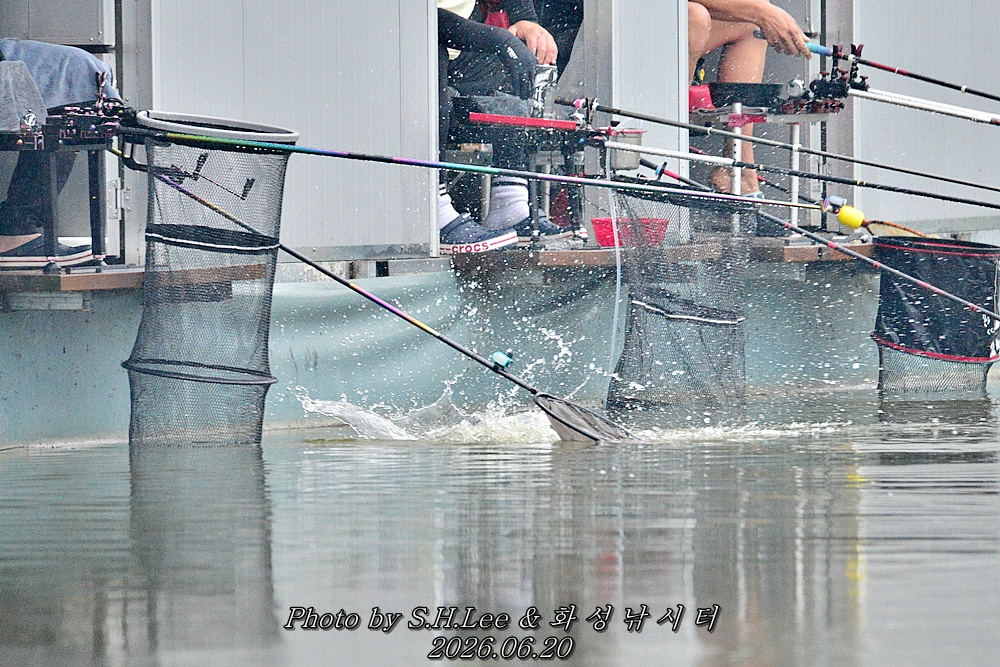 LSH_9622.JPG
