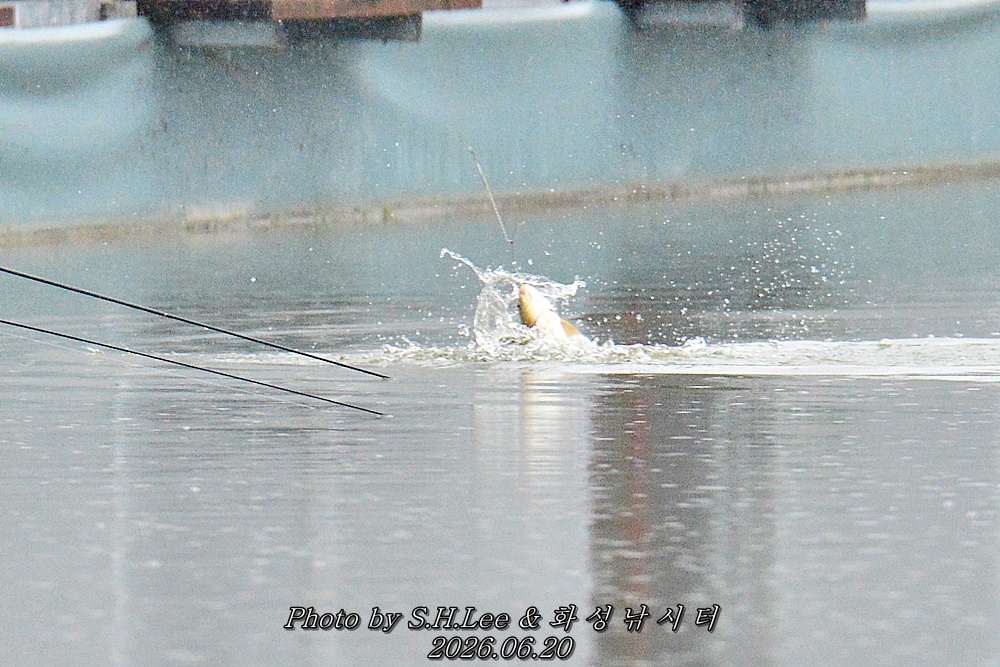 LSH_9677.JPG