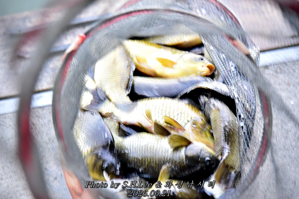 LEE_5370.JPG