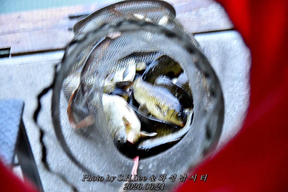 LEE_5375.JPG