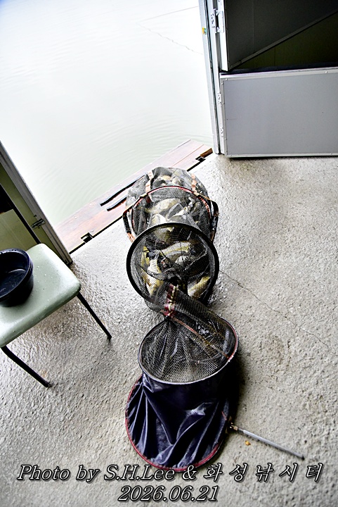 LEE_5414.JPG