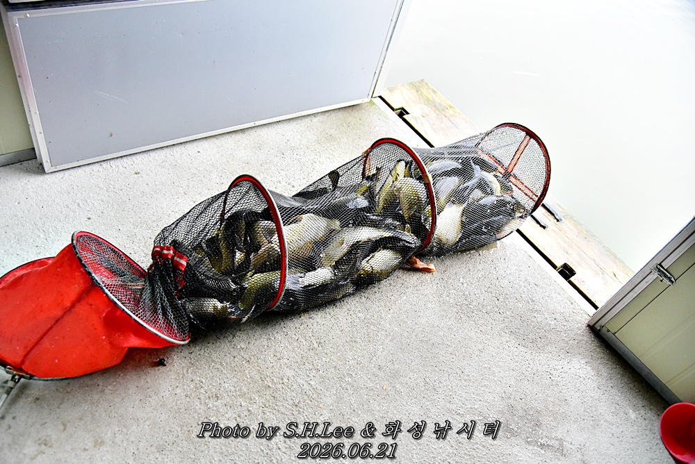LEE_5451.JPG