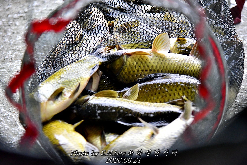 LEE_5490.JPG
