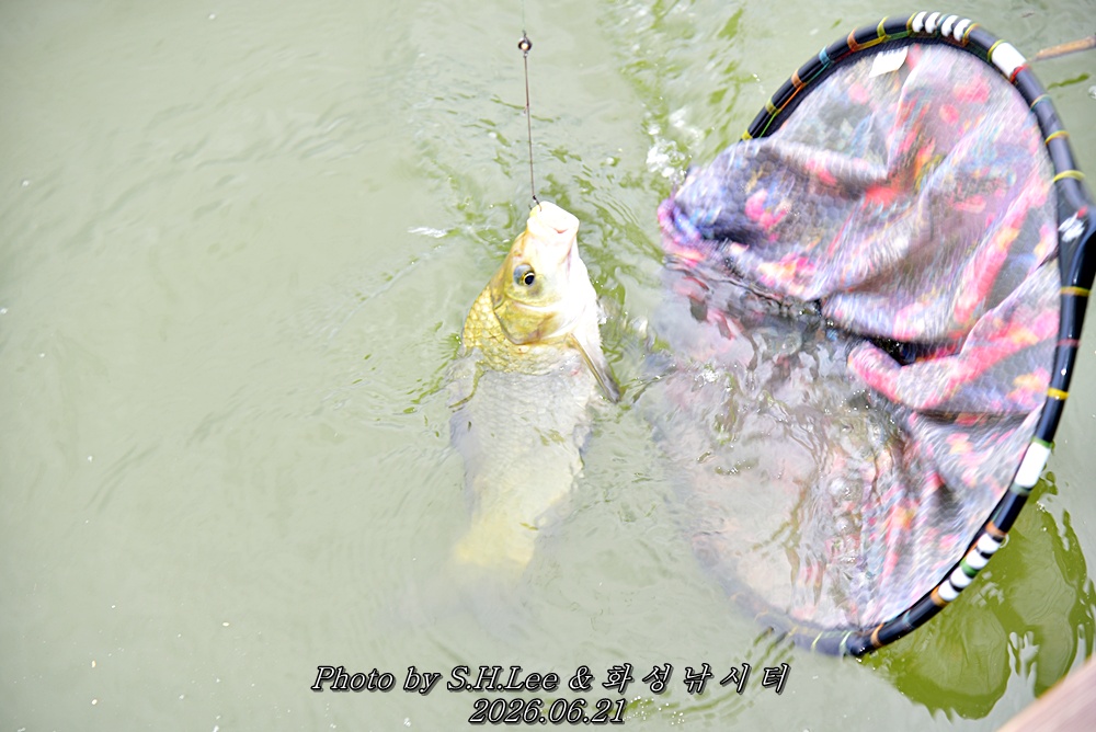 LEE_5504.JPG