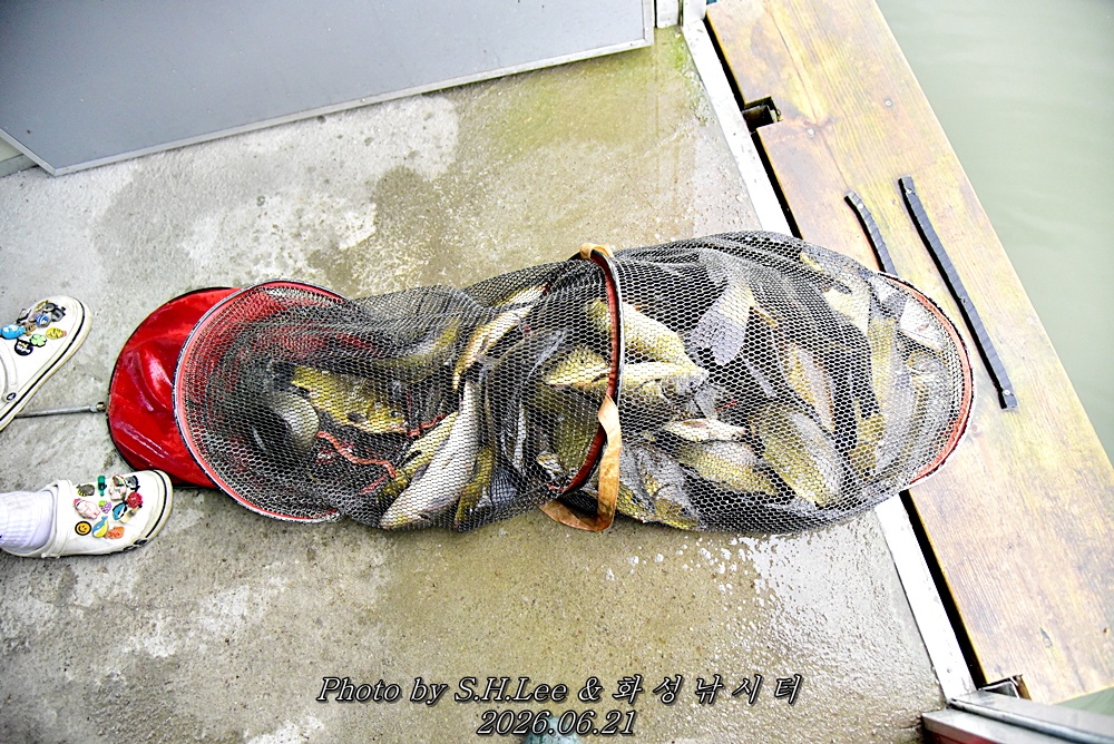LEE_5508.JPG