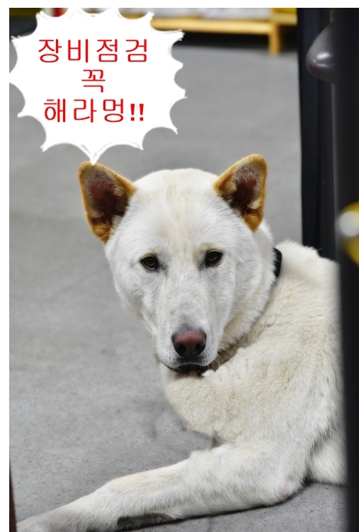 LEE_5017.JPG