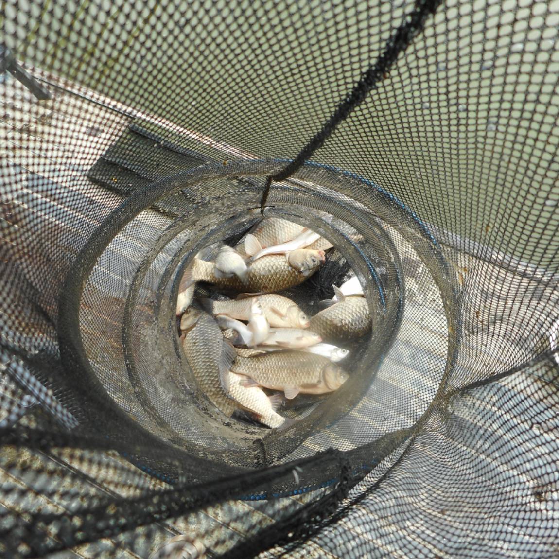 DSCN6404.JPG