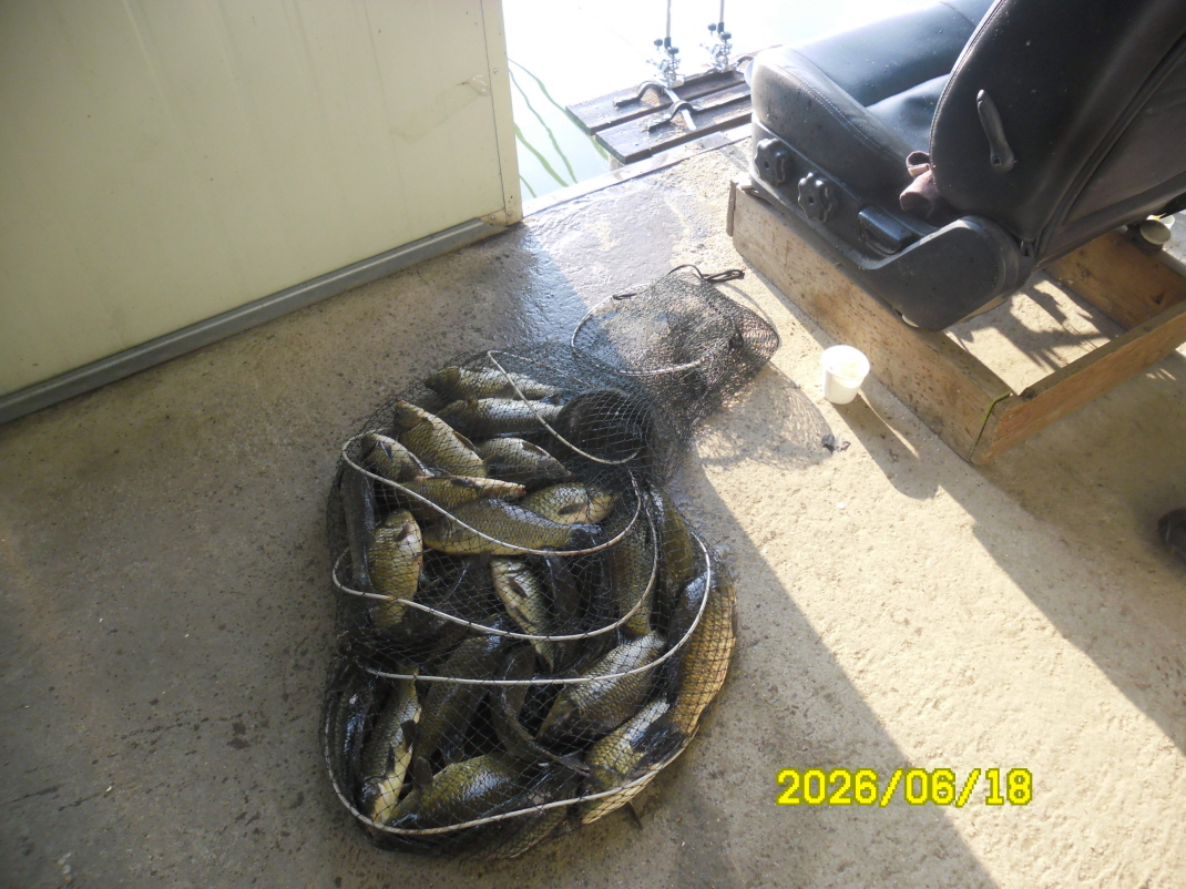 SAM_0600.JPG