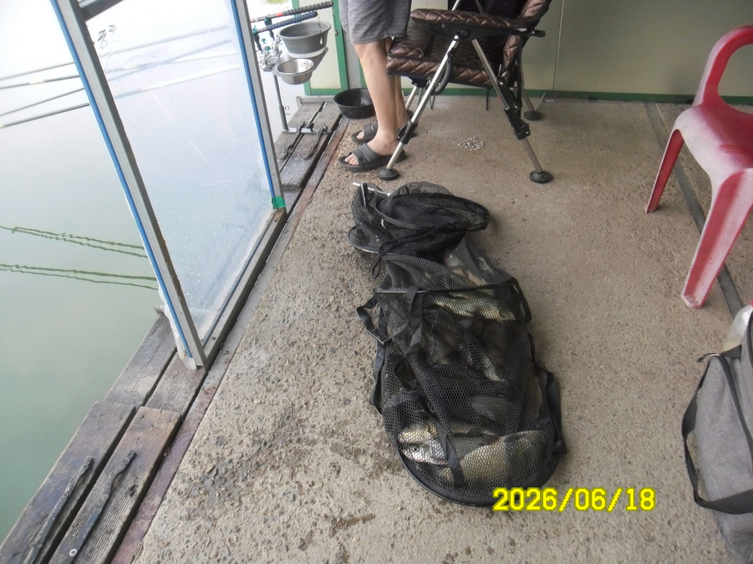 SAM_0610.JPG