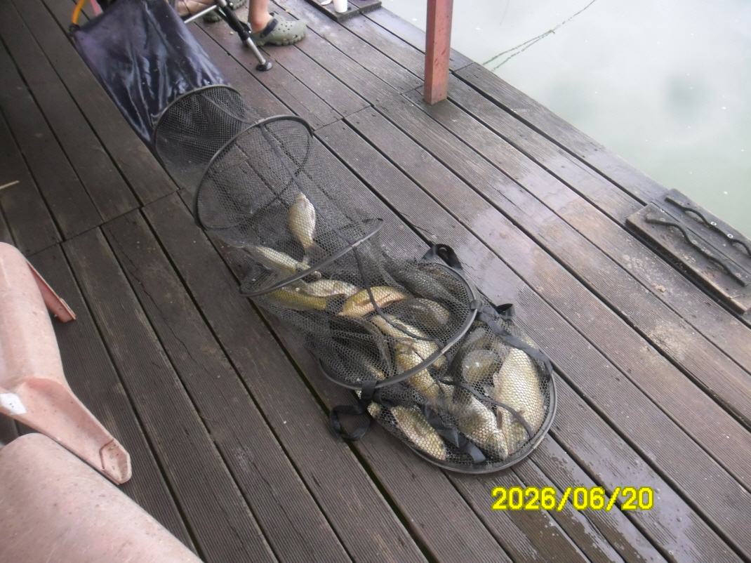 SAM_0628.JPG