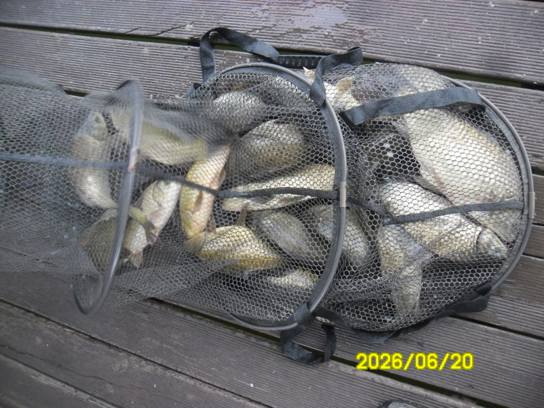 SAM_0630.JPG