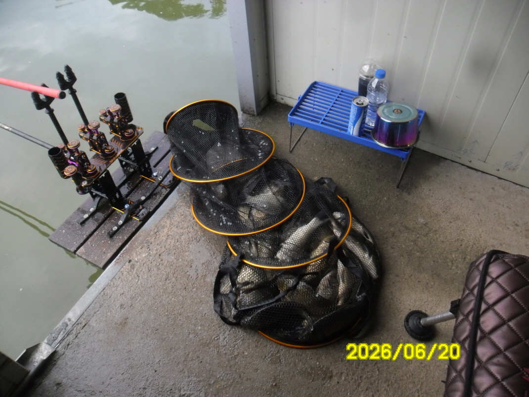 SAM_0638.JPG