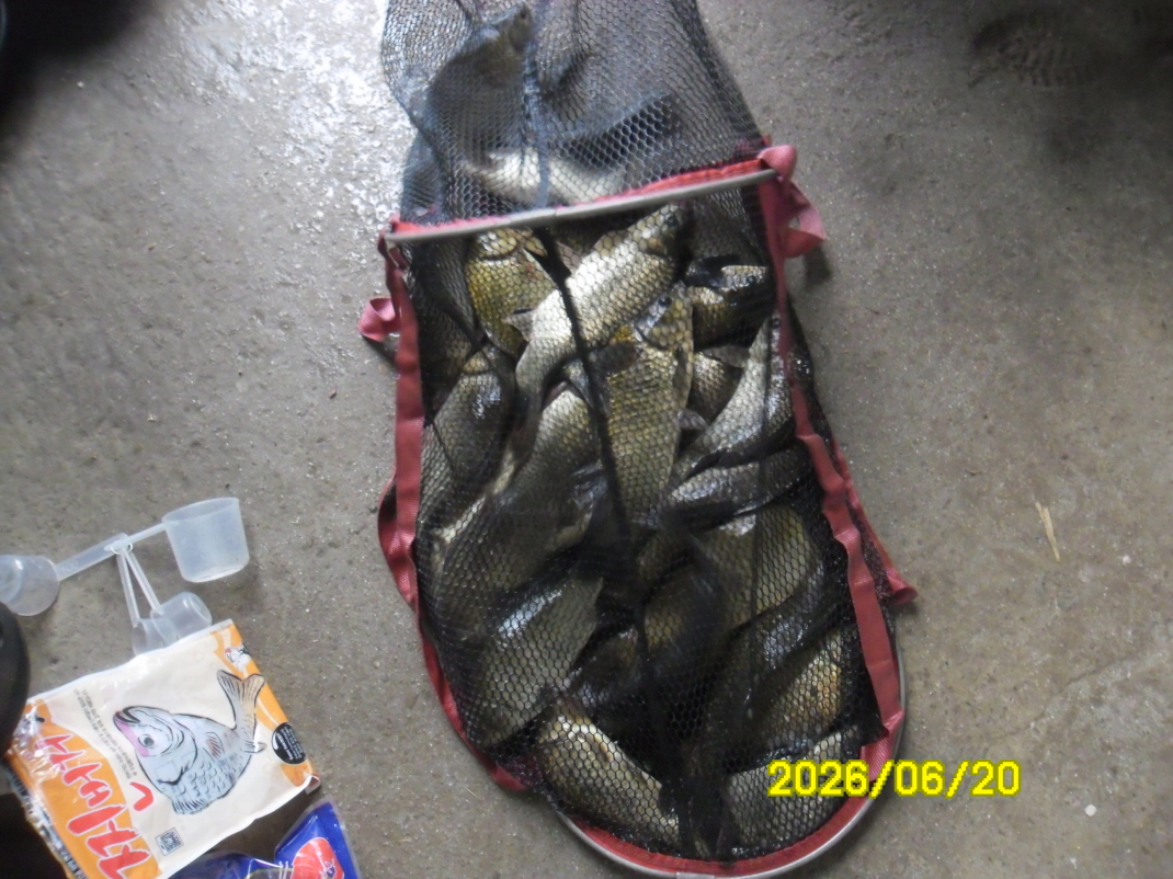 SAM_0664.JPG