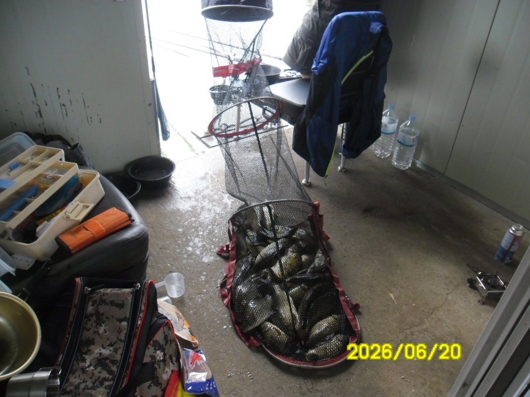 SAM_0662.JPG