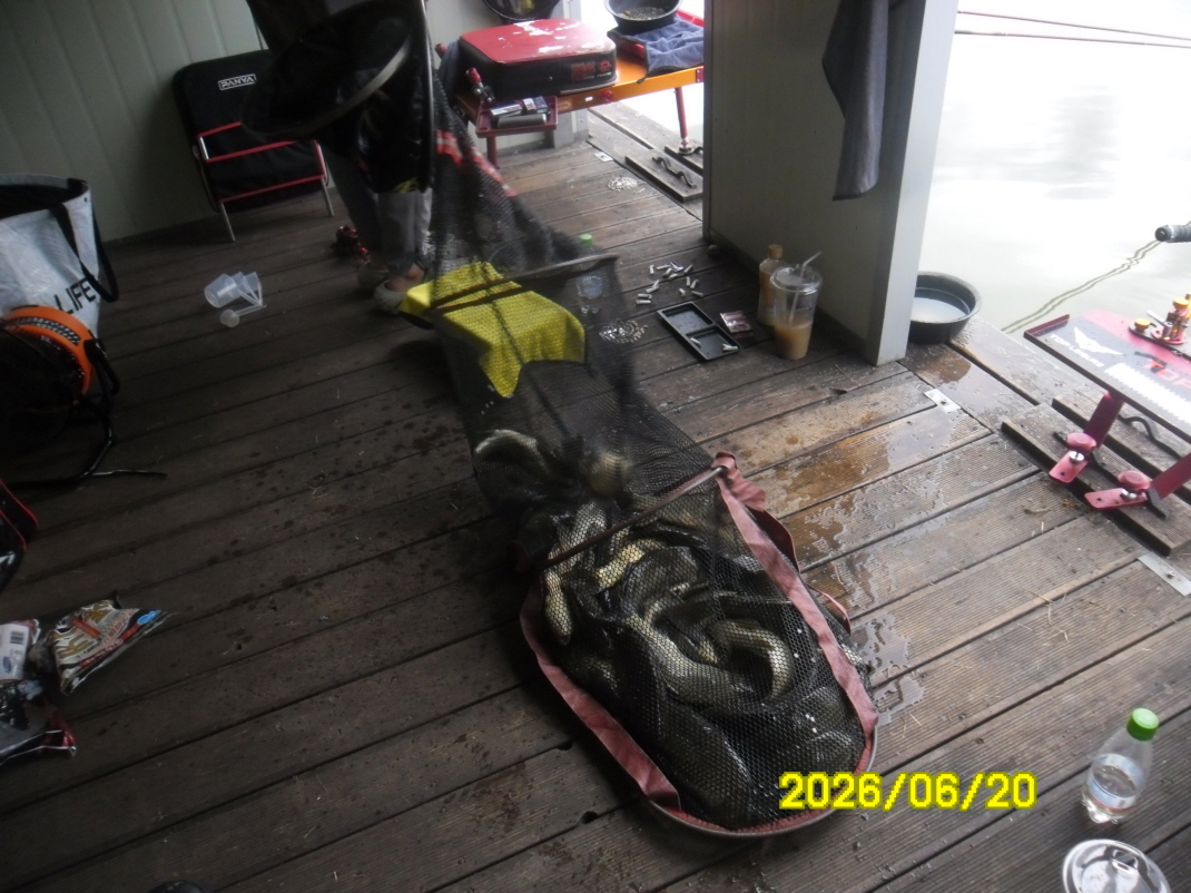 SAM_0673.JPG