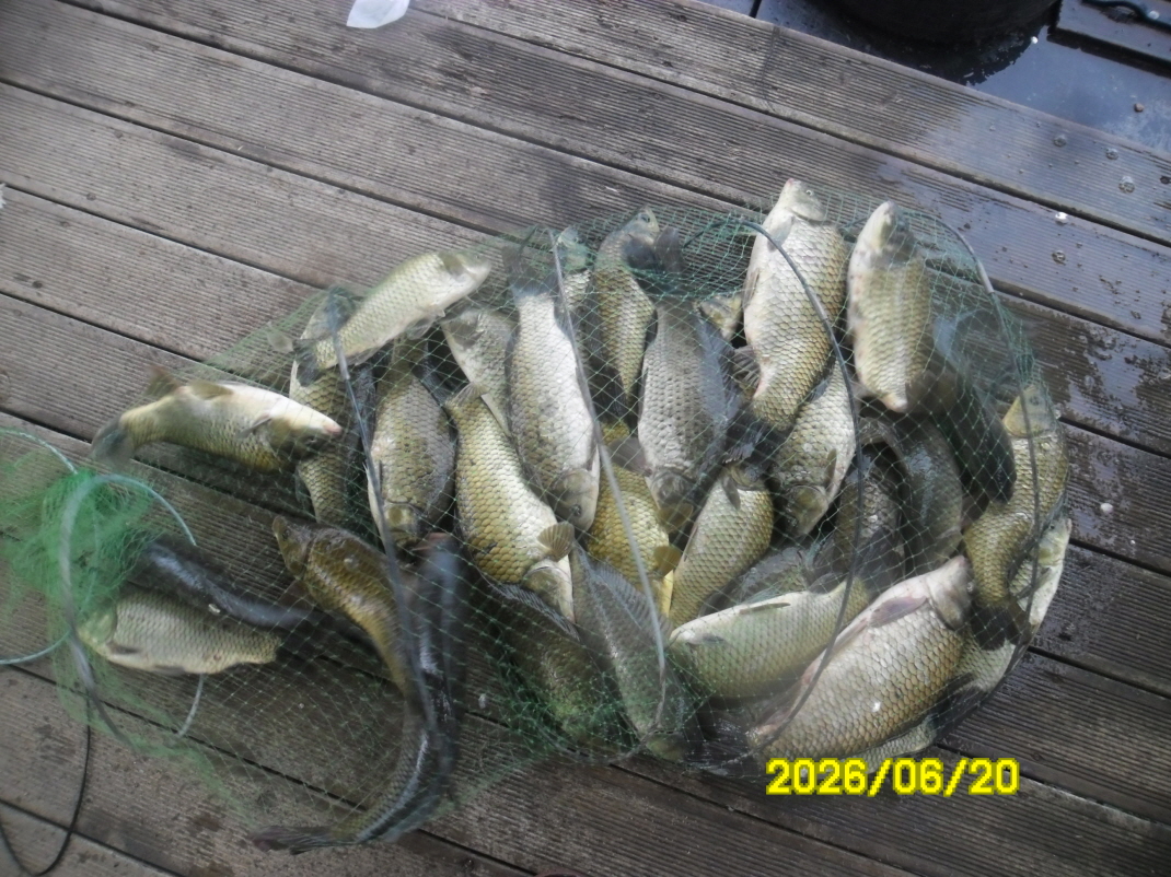 SAM_0680.JPG