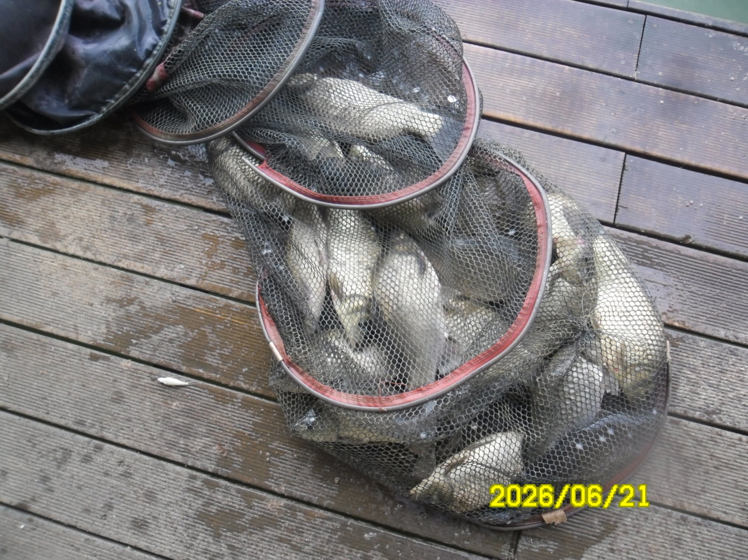 SAM_0707.JPG