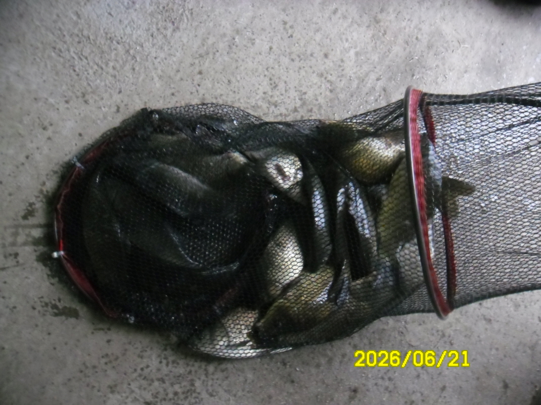 SAM_0709.JPG
