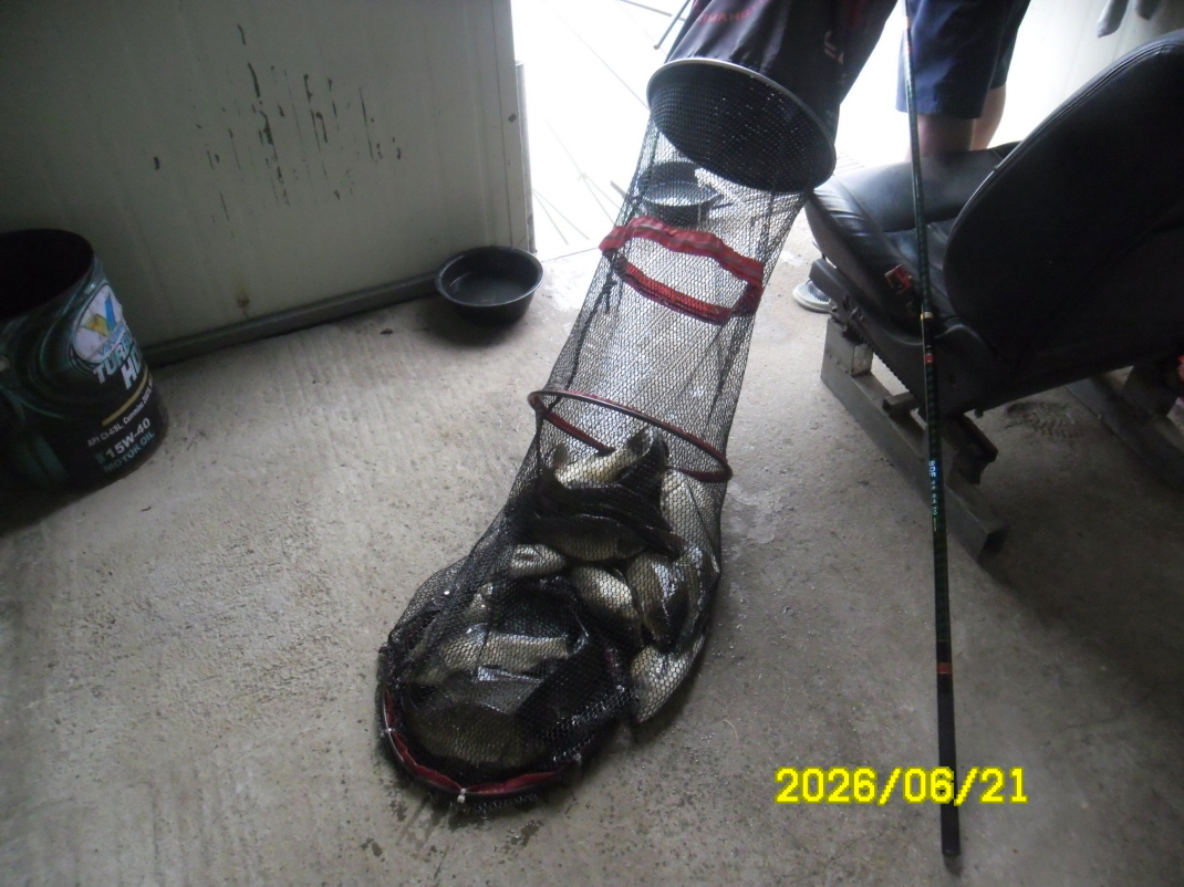 SAM_0708.JPG