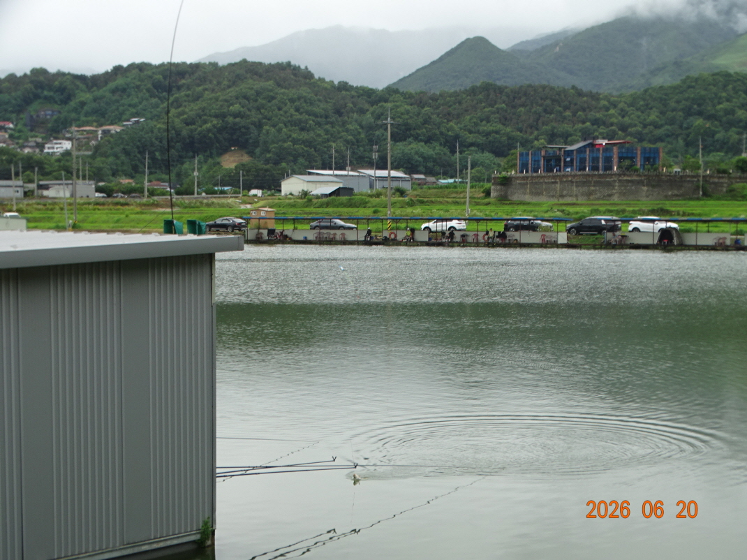 DSC05221.JPG