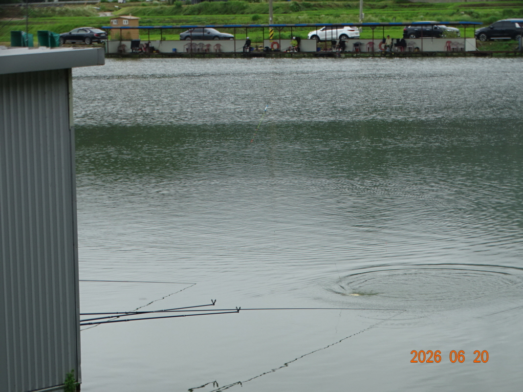 DSC05220.JPG