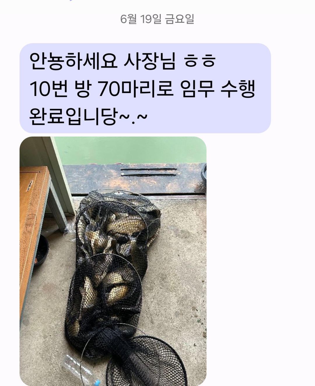 Screenshot_20260619_200214_Messages.jpg