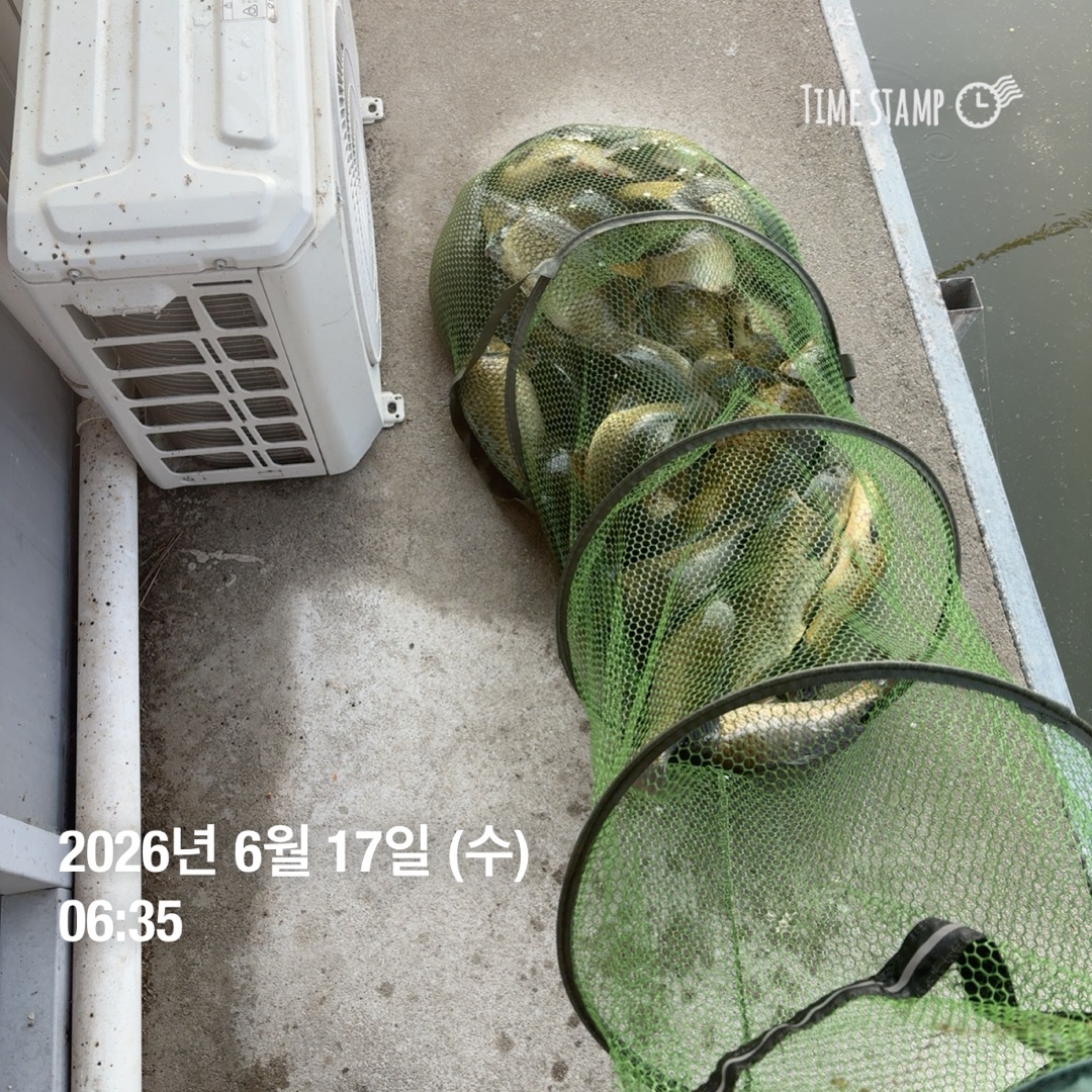 KakaoTalk_20260623_083629719_21.jpg