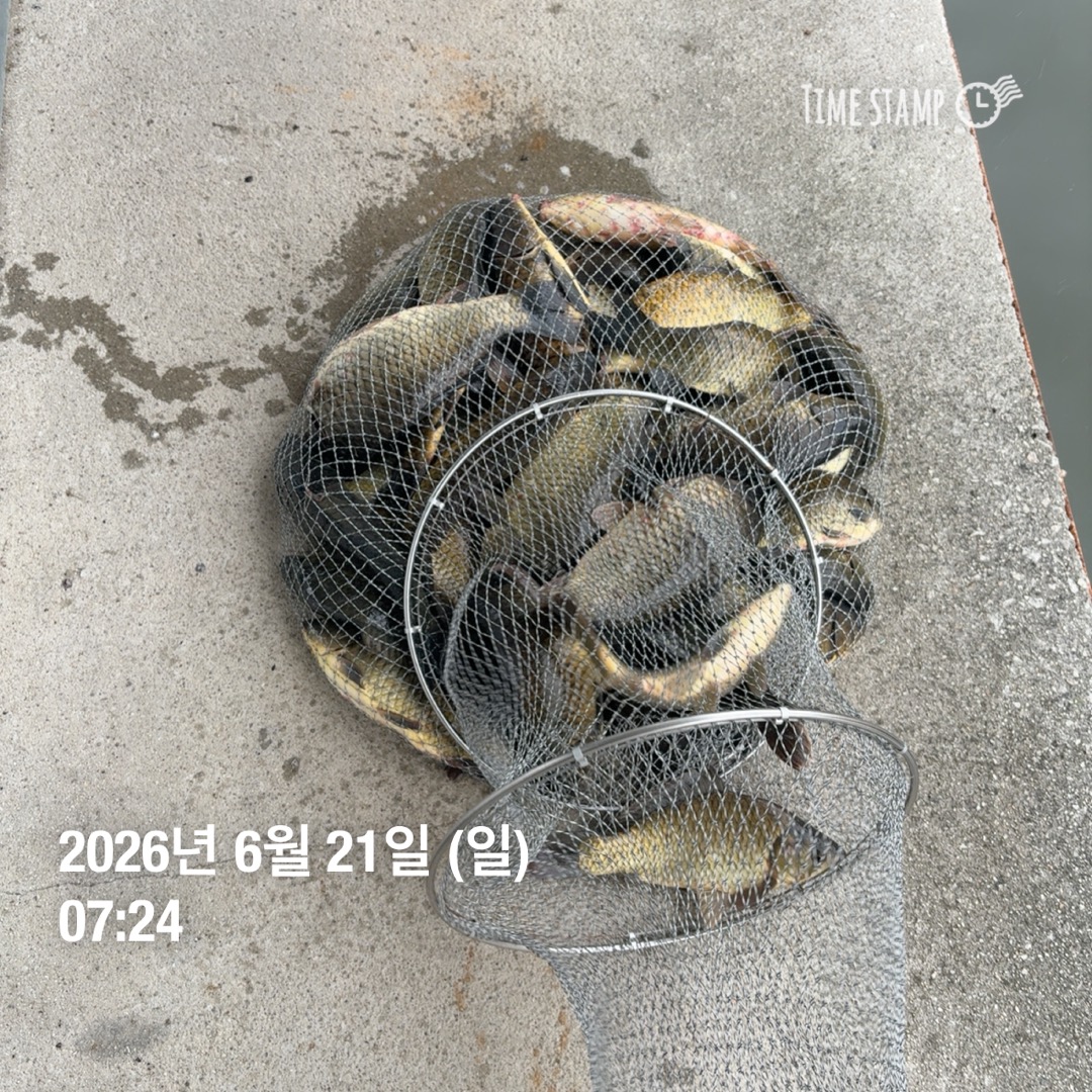 KakaoTalk_20260623_083629719_10.jpg